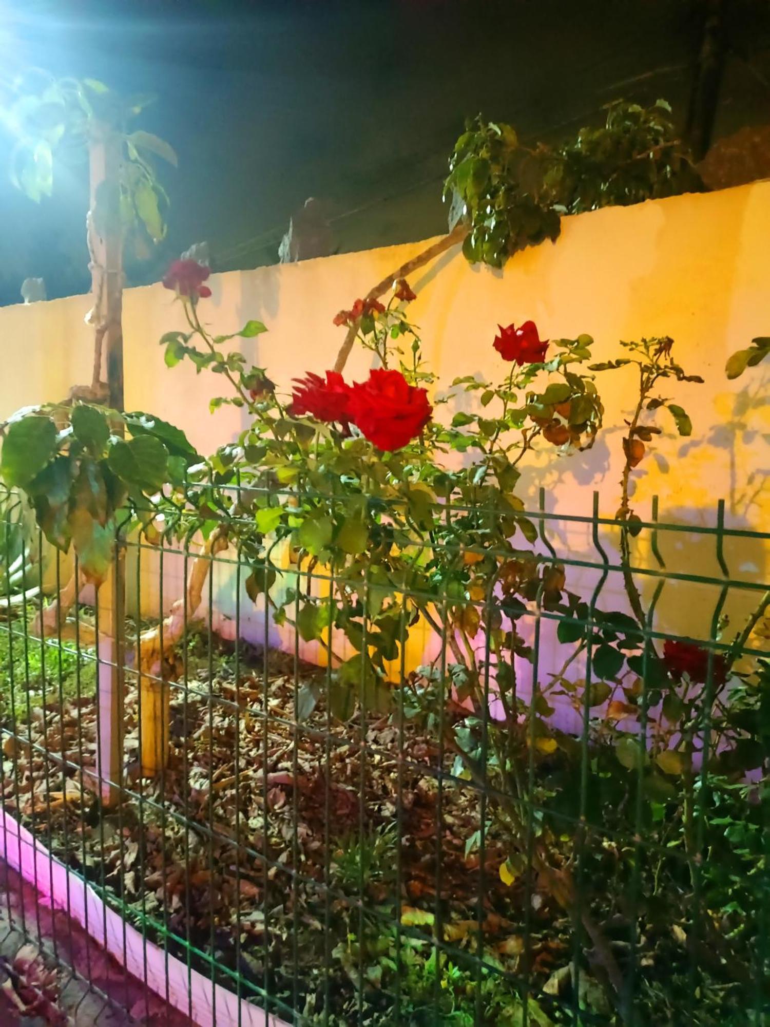 דירות ארונה Casa Cristal מראה חיצוני תמונה
